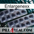 Enlargenexx 31